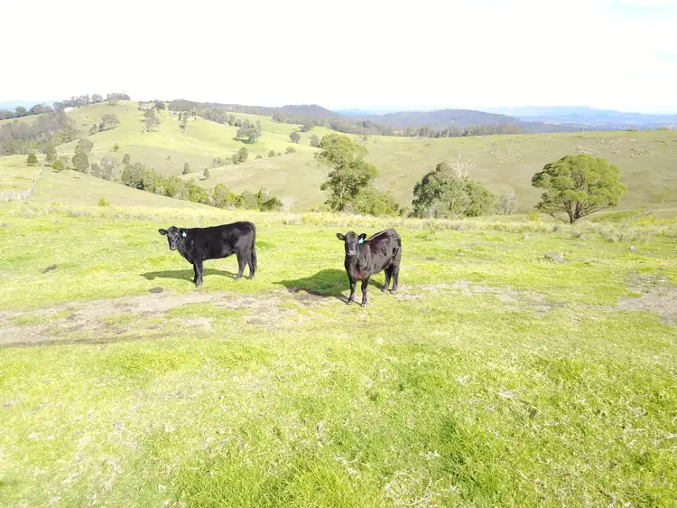 Fourth view of Homely rural property listing, 161 Germons Road, Dungog NSW 2420