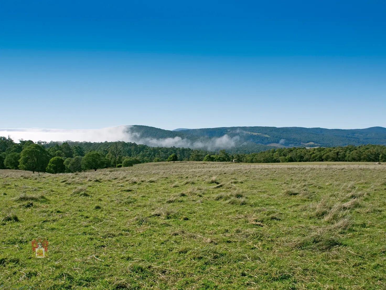 Main view of Homely house listing, 386 Kinglake-Glenburn Road, Kinglake VIC 3763