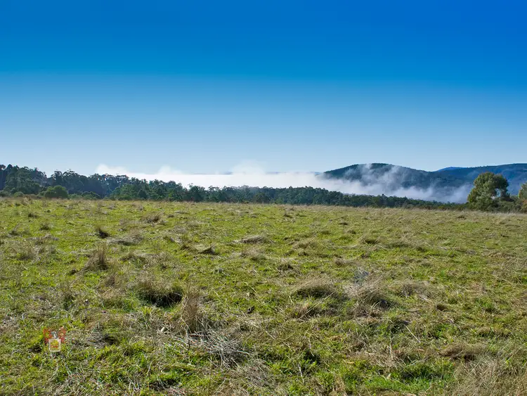 Fifth view of Homely house listing, 386 Kinglake-Glenburn Road, Kinglake VIC 3763
