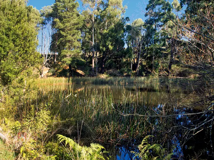 Seventh view of Homely house listing, 386 Kinglake-Glenburn Road, Kinglake VIC 3763