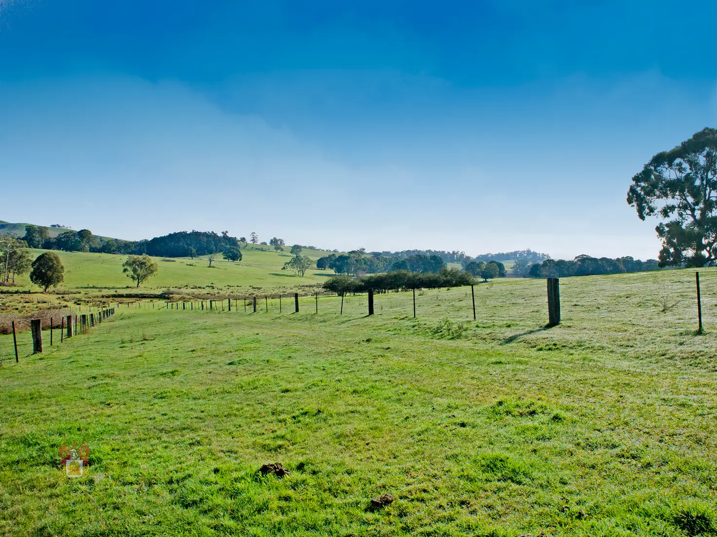Main view of Homely land listing, 356 Two Hills Road, Glenburn VIC 3717