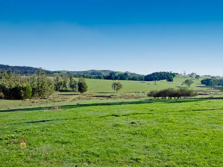 Second view of Homely land listing, 356 Two Hills Road, Glenburn VIC 3717