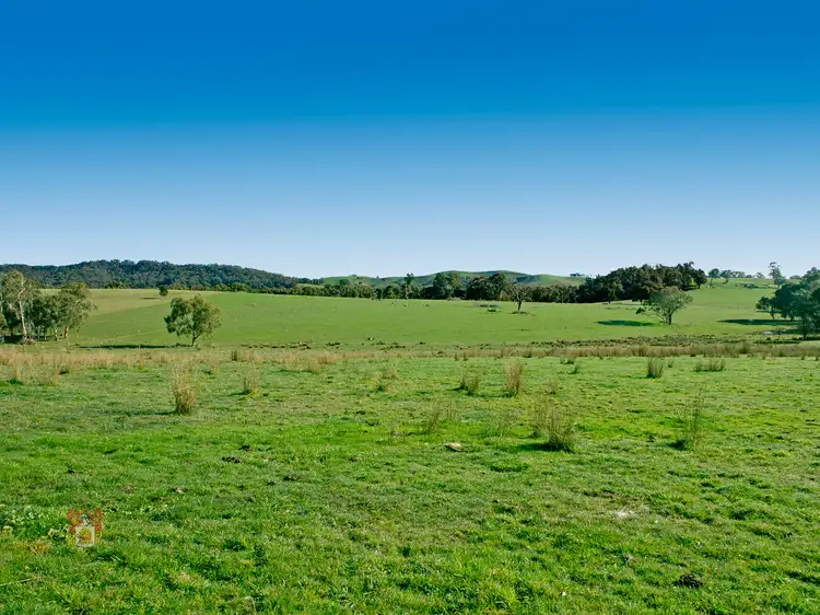 Fourth view of Homely land listing, 356 Two Hills Road, Glenburn VIC 3717