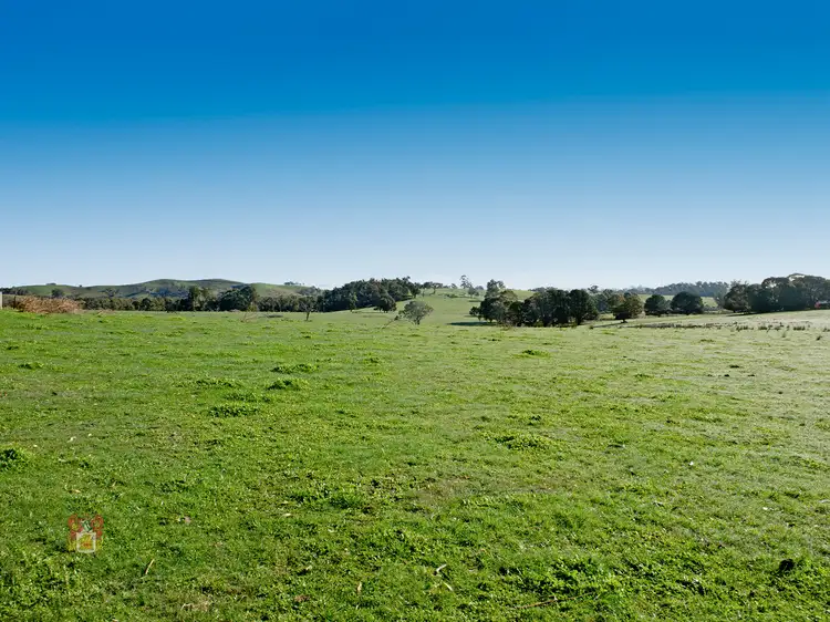 Fifth view of Homely land listing, 356 Two Hills Road, Glenburn VIC 3717