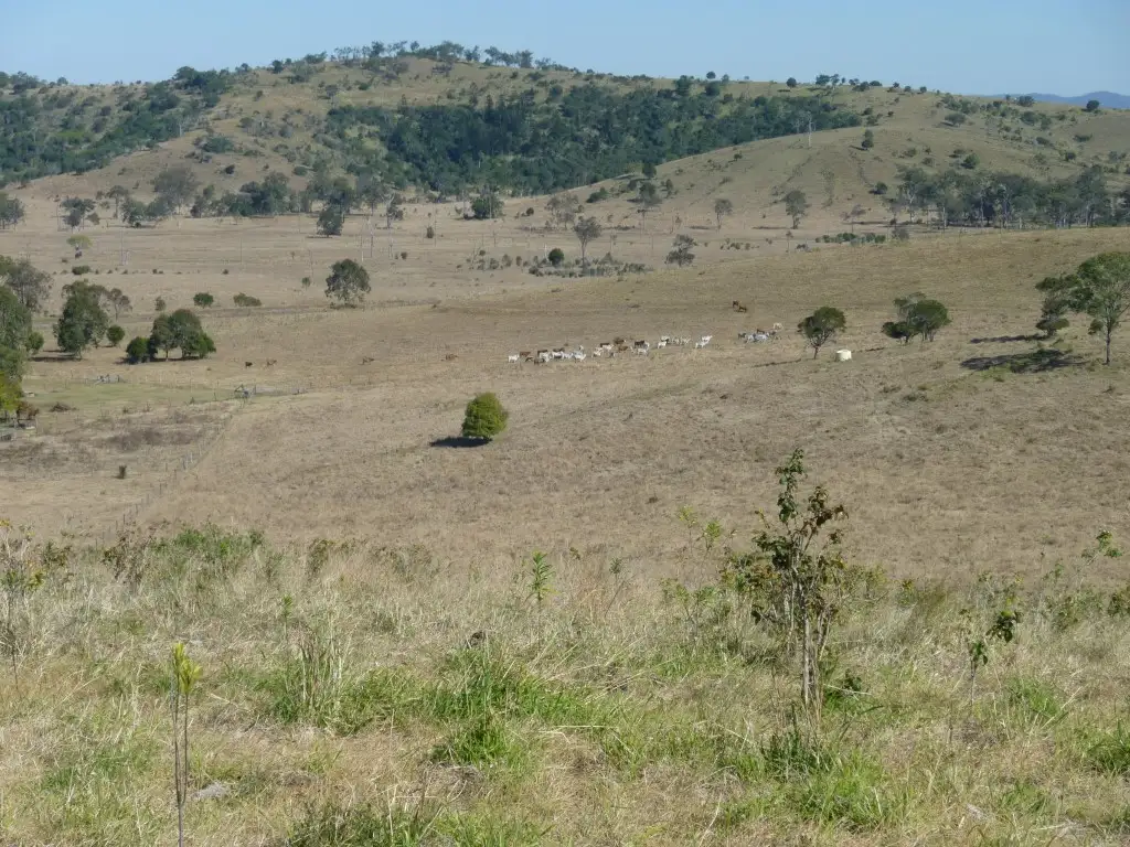 Main view of Homely rural property listing, Address available on request