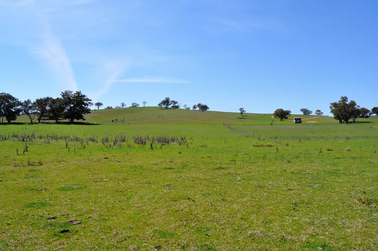 Main view of Homely rural property listing, 190 Trilby Lane, Gulgong NSW 2852