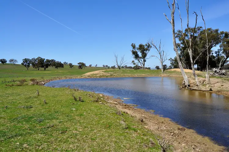 Second view of Homely rural property listing, 190 Trilby Lane, Gulgong NSW 2852