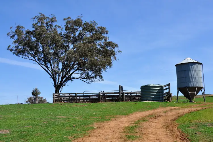 Fourth view of Homely rural property listing, 190 Trilby Lane, Gulgong NSW 2852