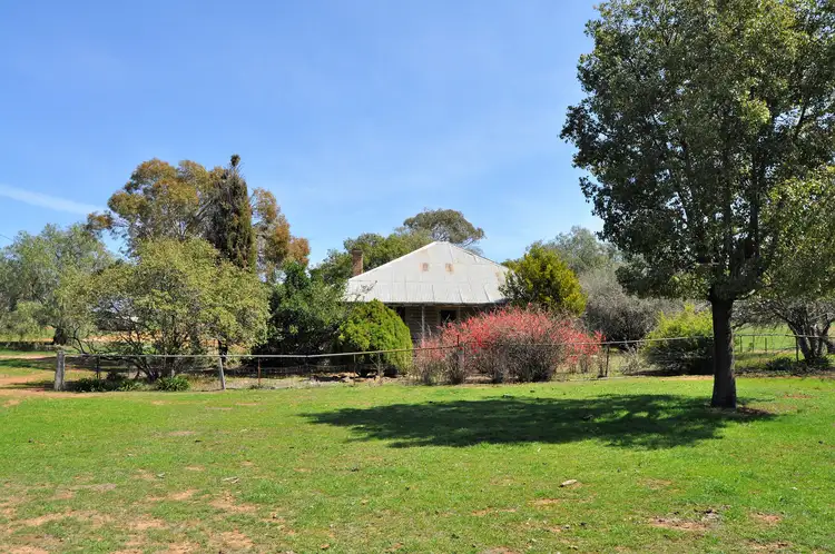 Sixth view of Homely rural property listing, 190 Trilby Lane, Gulgong NSW 2852