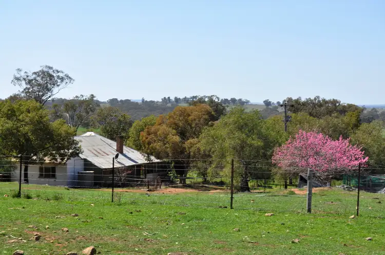 Seventh view of Homely rural property listing, 190 Trilby Lane, Gulgong NSW 2852