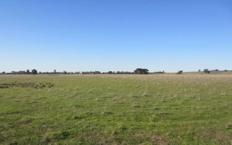 Fifth view of Homely rural property listing, Boralma Rutherglen Road, Springhurst VIC 3682
