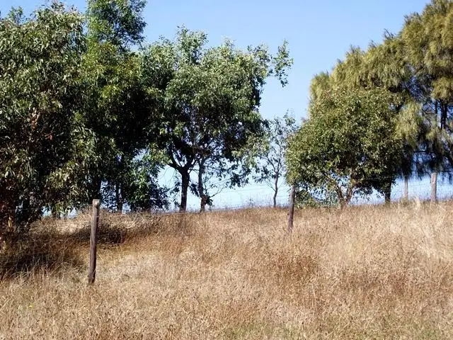 Seventh view of Homely land listing, LOT 2, 2 Bedlam Flat Road, Delamere SA 5204