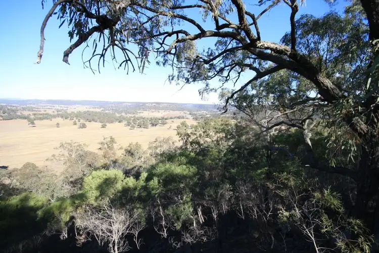 Lot 98 Cullingral Road, Merriwa NSW 2329