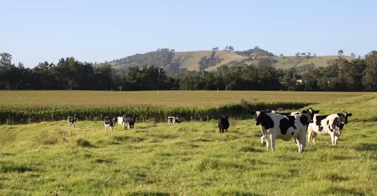 1058 FOSTERTON ROAD, Dungog NSW 2420