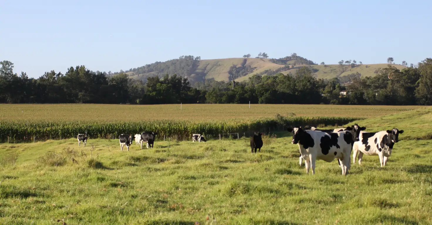 Main view of Homely rural property listing, 1058 FOSTERTON ROAD, Dungog NSW 2420