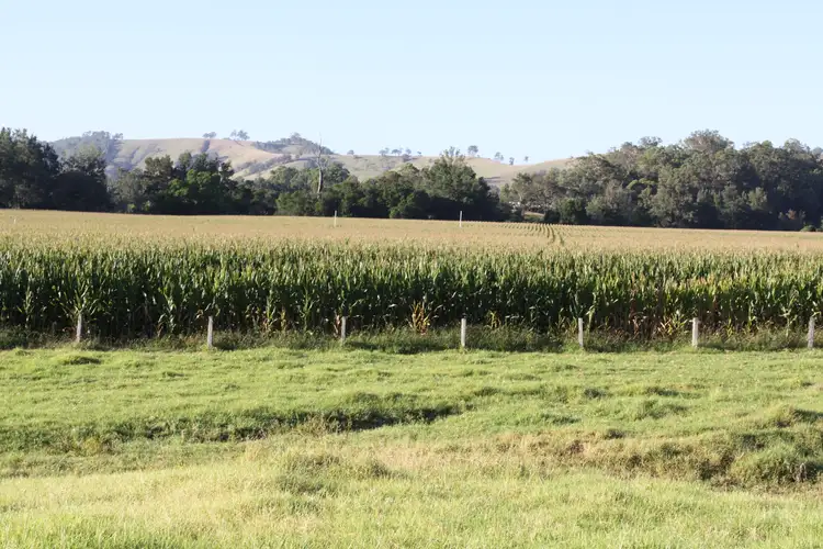 Fourth view of Homely rural property listing, 1058 FOSTERTON ROAD, Dungog NSW 2420