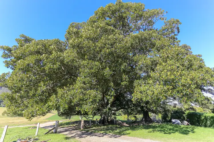 Sixth view of Homely rural property listing, 1058 FOSTERTON ROAD, Dungog NSW 2420