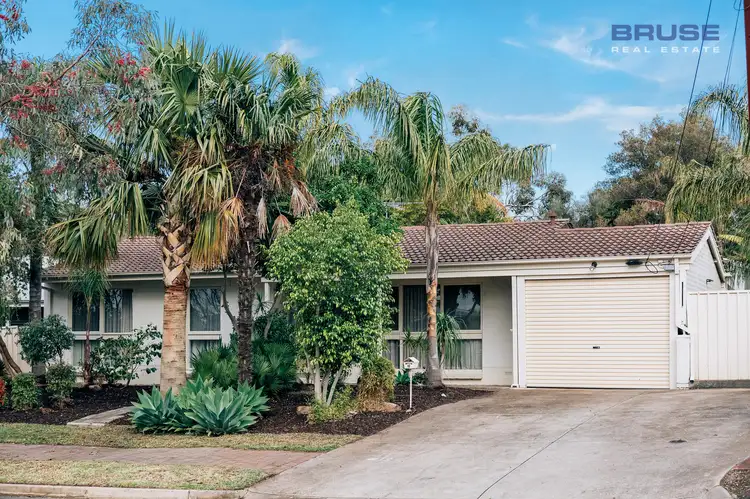 12 Silvermere Avenue, Paradise SA 5075