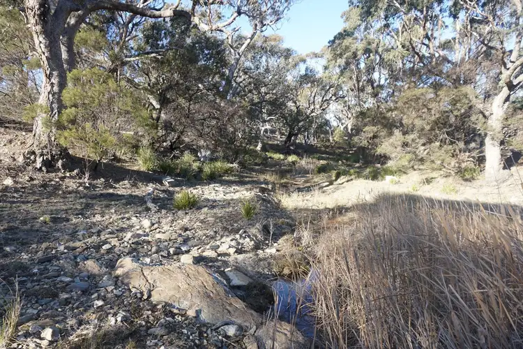 Fourth view of Homely rural property listing, LOT 1, 205 Beralston Road, Gundaroo NSW 2620