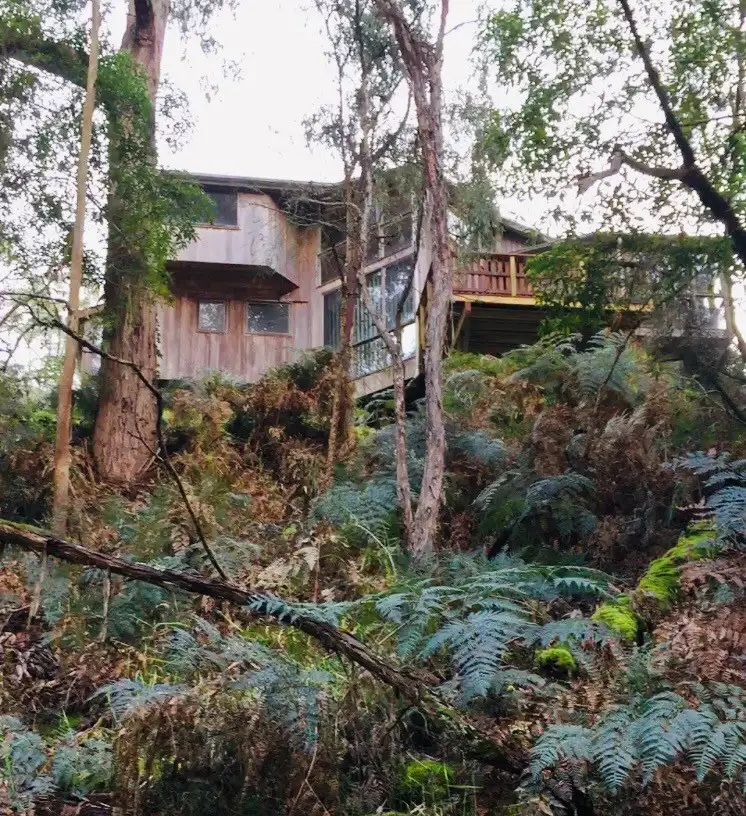 Fifth view of Homely rural property listing, 715 Carlisle Road, Irrewillipe VIC 3249