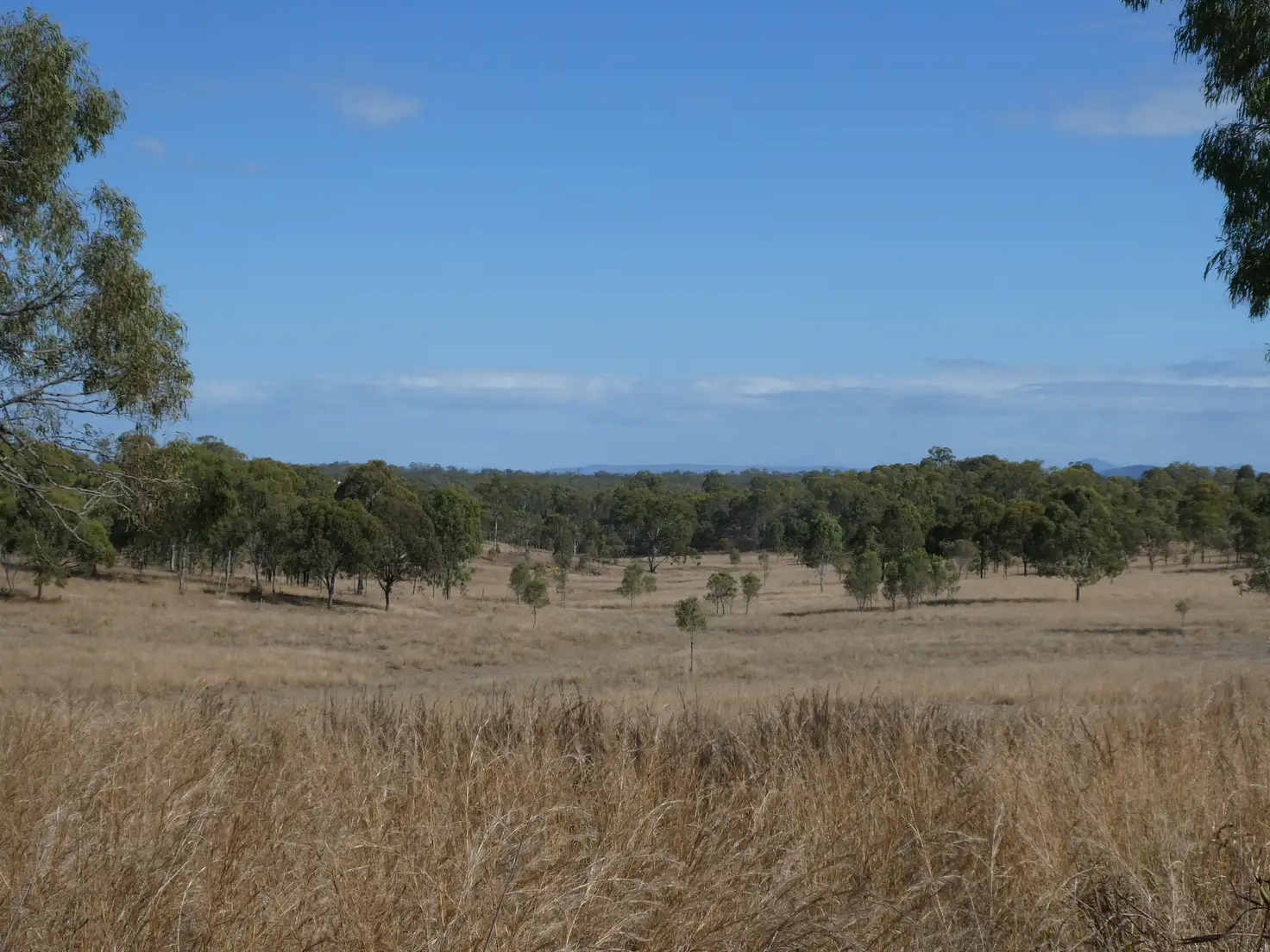 Main view of Homely rural property listing, LOT 85 BOOYAL DALLARNIL ROAD, Dallarnil QLD 4621