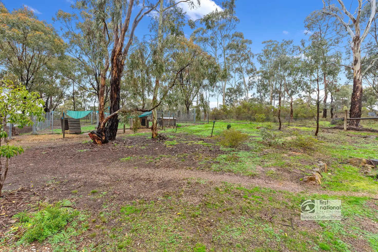 Main view of Homely house listing, 21 - 23 Backhaus Street, White Hills VIC 3550