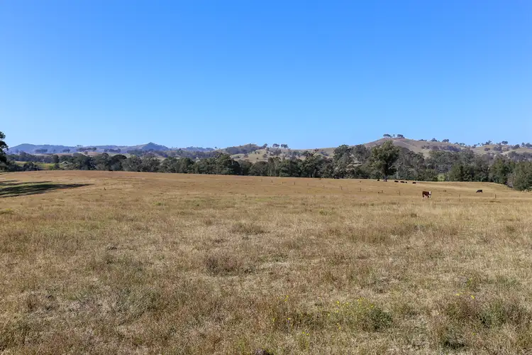 Fifth view of Homely rural property listing, 345 Allyn River Road, East Gresford NSW 2311