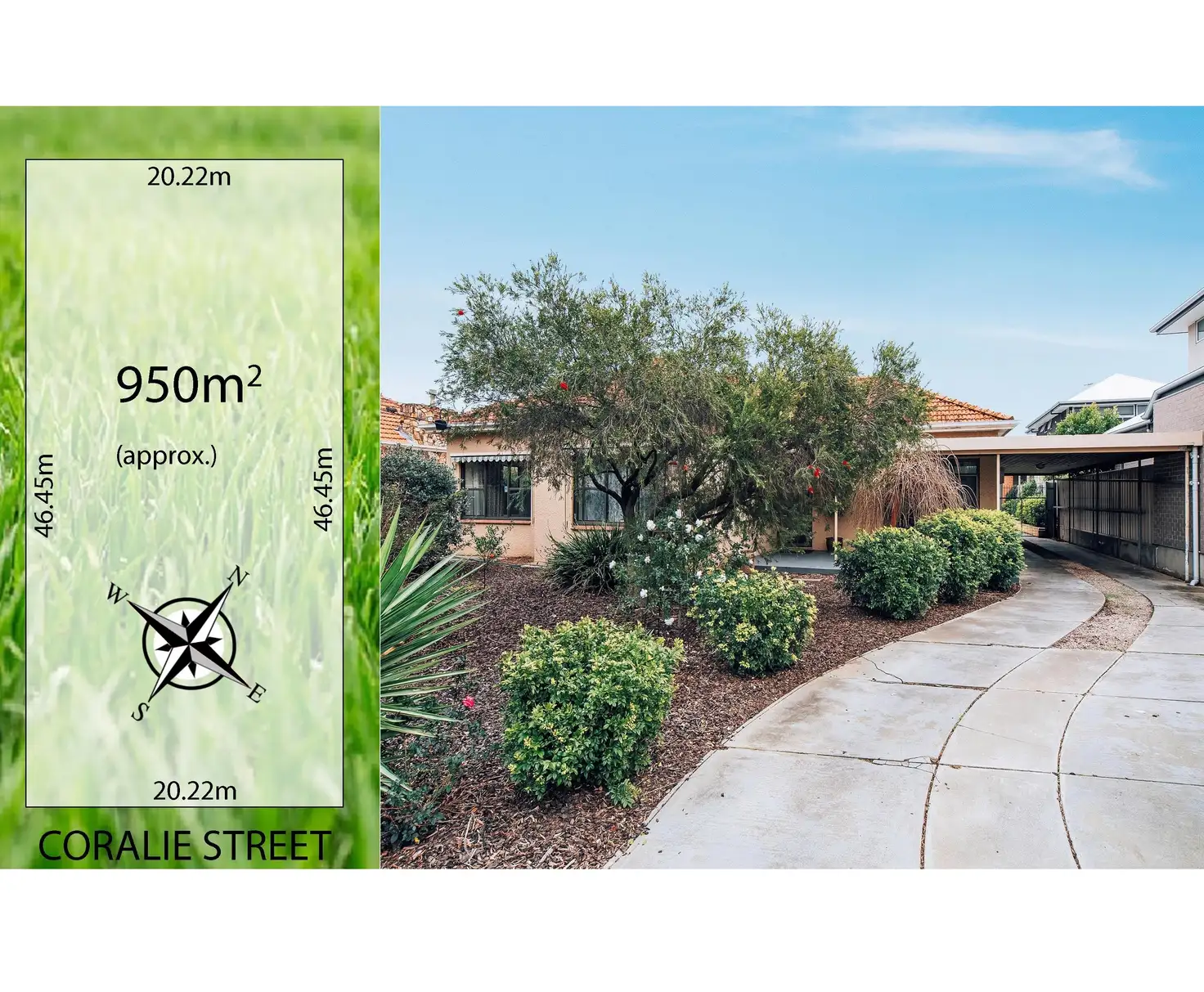 Main view of Homely house listing, 9 Coralie Street, Plympton SA 5038
