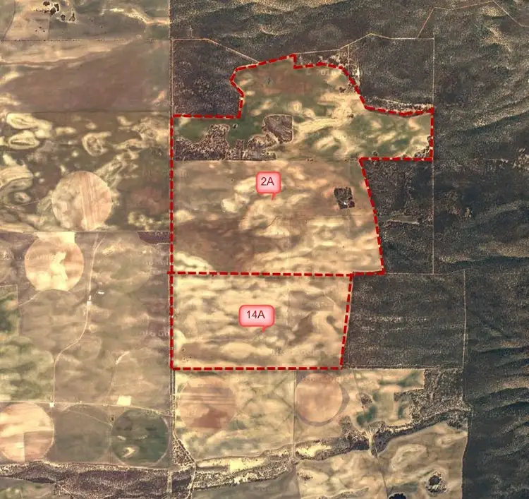 Second view of Homely rural property listing, CA2A & 14A Border Road, Panitya SA 5641