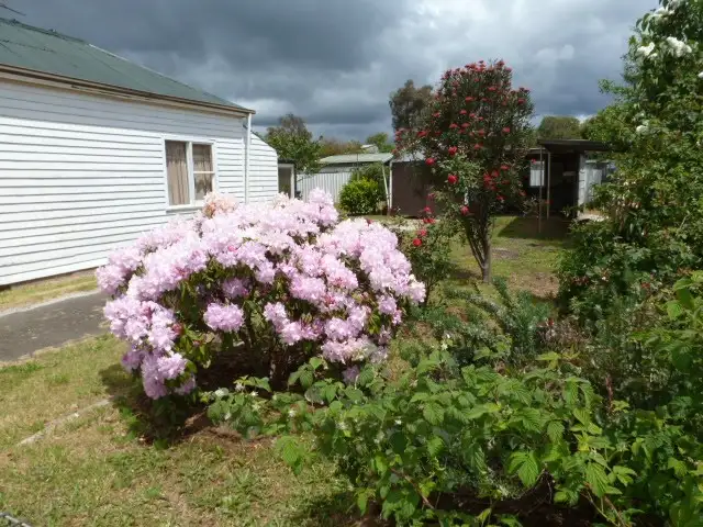 Third view of Homely house listing, 6 Hedley Street, Scottsdale TAS 7260
