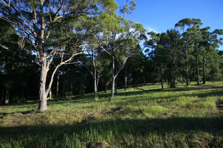 Seventh view of Homely land listing, LOT 105 Duns Creek Road, Paterson NSW 2421