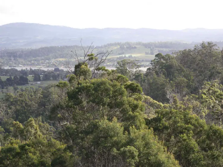 Fifth view of Homely land listing, 1907 East Tamar Highway, Dilston TAS 7252