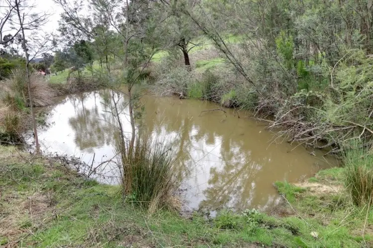 Sixth view of Homely house listing, 651 Steels Creek, Steels Creek VIC 3775