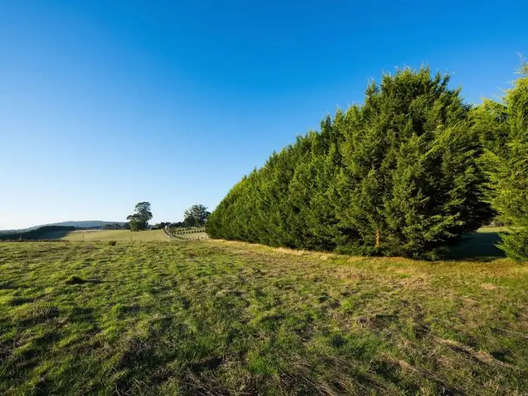 Fourth view of Homely land listing, 116 South Lyonville Road, Lyonville VIC 3461