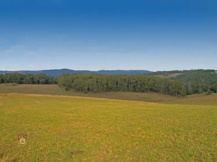 Fourth view of Homely house listing, 42E Murrays Road, Kinglake VIC 3763