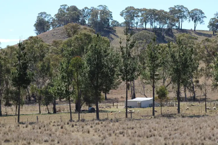 734. Glen Legh Road, Glen Innes NSW 2370