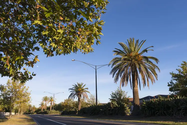 Third view of Homely land listing, LOT 115 Findlay Avenue, St Leonards VIC 3223