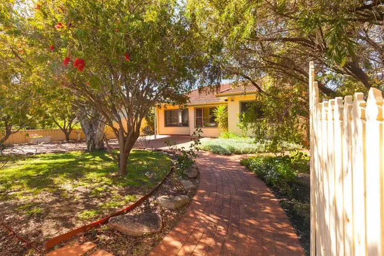 Fifth view of Homely house listing, 146 Herbert Street, Doubleview WA 6018