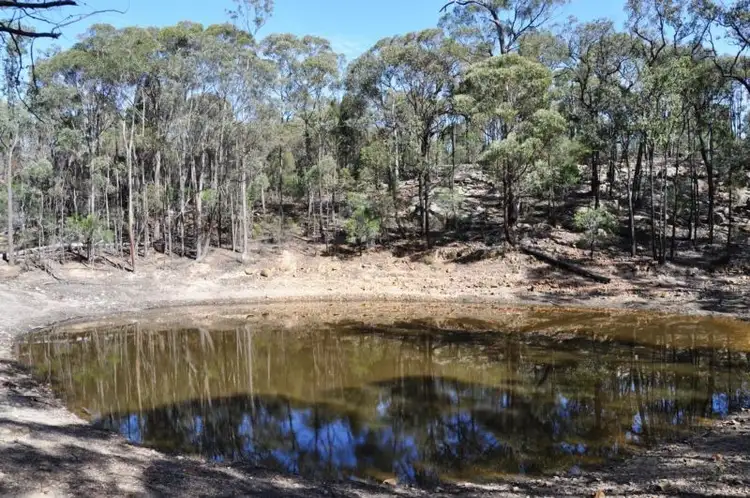 Seventh view of Homely rural property listing, 01062 Blue Springs Road, Gulgong NSW 2852