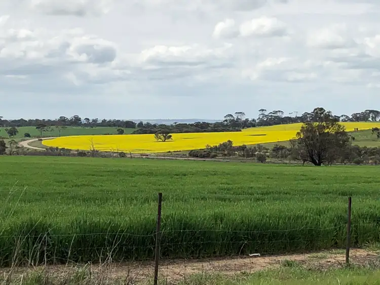 3906 Mawson RD, Beverley WA 6304