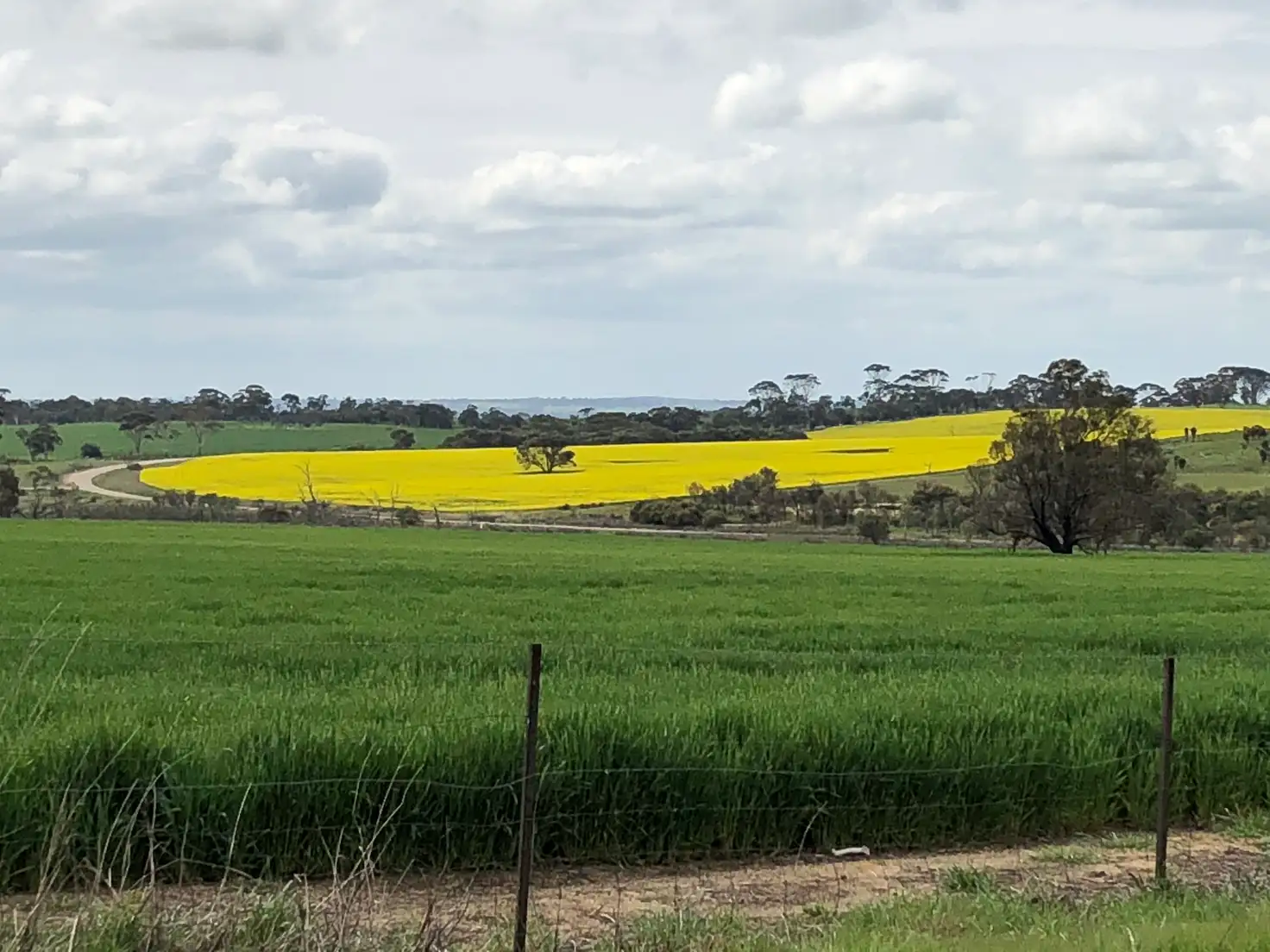 Main view of Homely rural property listing, 3906 Mawson RD, Beverley WA 6304