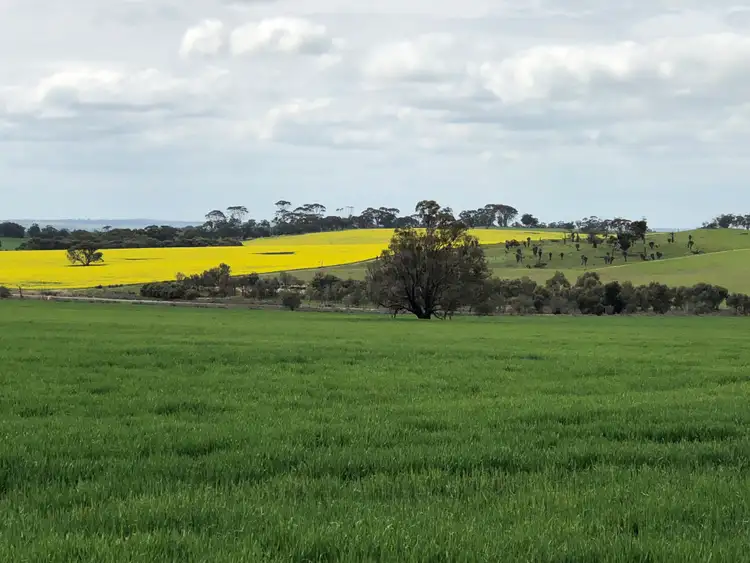 Second view of Homely rural property listing, 3906 Mawson RD, Beverley WA 6304