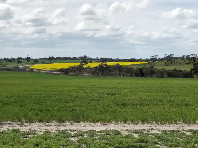 Fourth view of Homely rural property listing, 3906 Mawson RD, Beverley WA 6304