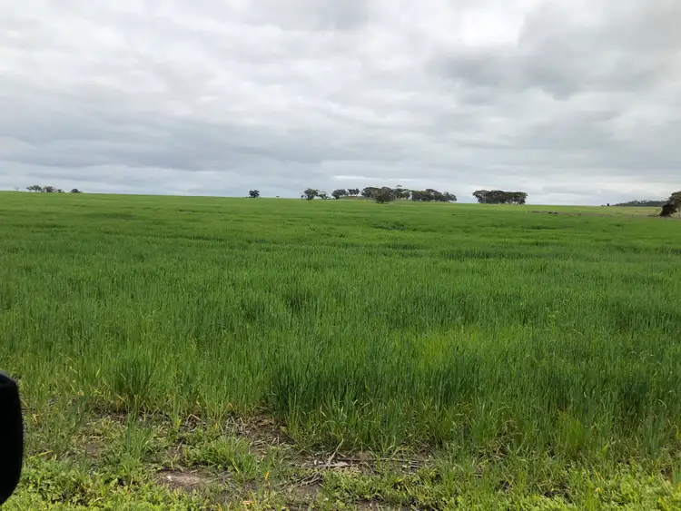 Fifth view of Homely rural property listing, 3906 Mawson RD, Beverley WA 6304