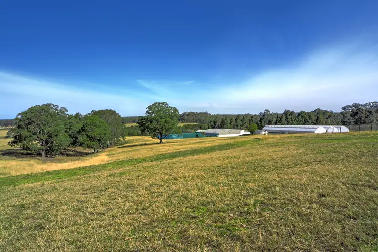 Third view of Homely rural property listing, 385 Parma Road, Parma NSW 2540