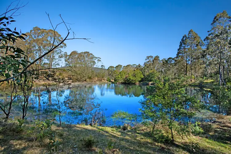 Main view of Homely rural property listing, 12 Woodglen Close, Paterson NSW 2421