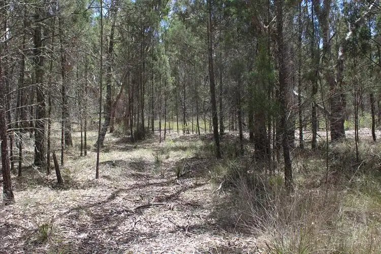 Sixth view of Homely land listing, 140 Jones Road, Severnlea QLD 4380