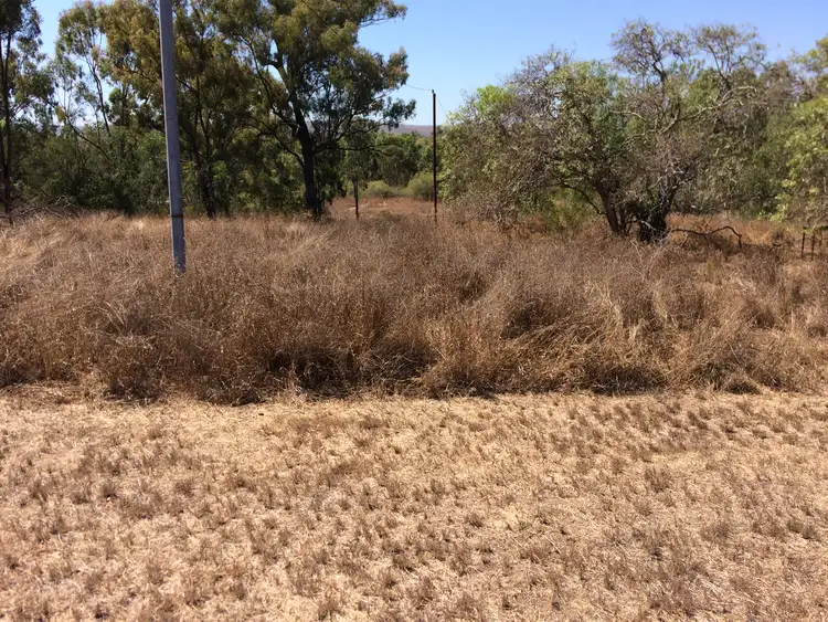 Fifth view of Homely rural property listing, 8239 Bowen Developmental Road, Collinsville QLD 4804