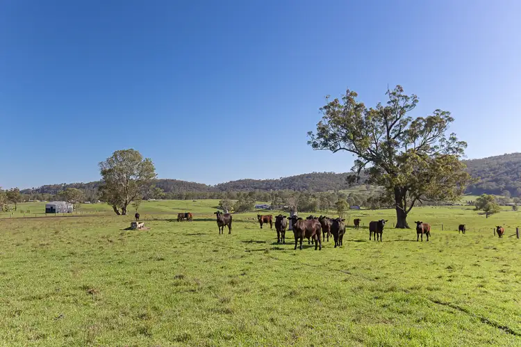 Fourth view of Homely rural property listing, 68 Dungog Road, Paterson NSW 2421