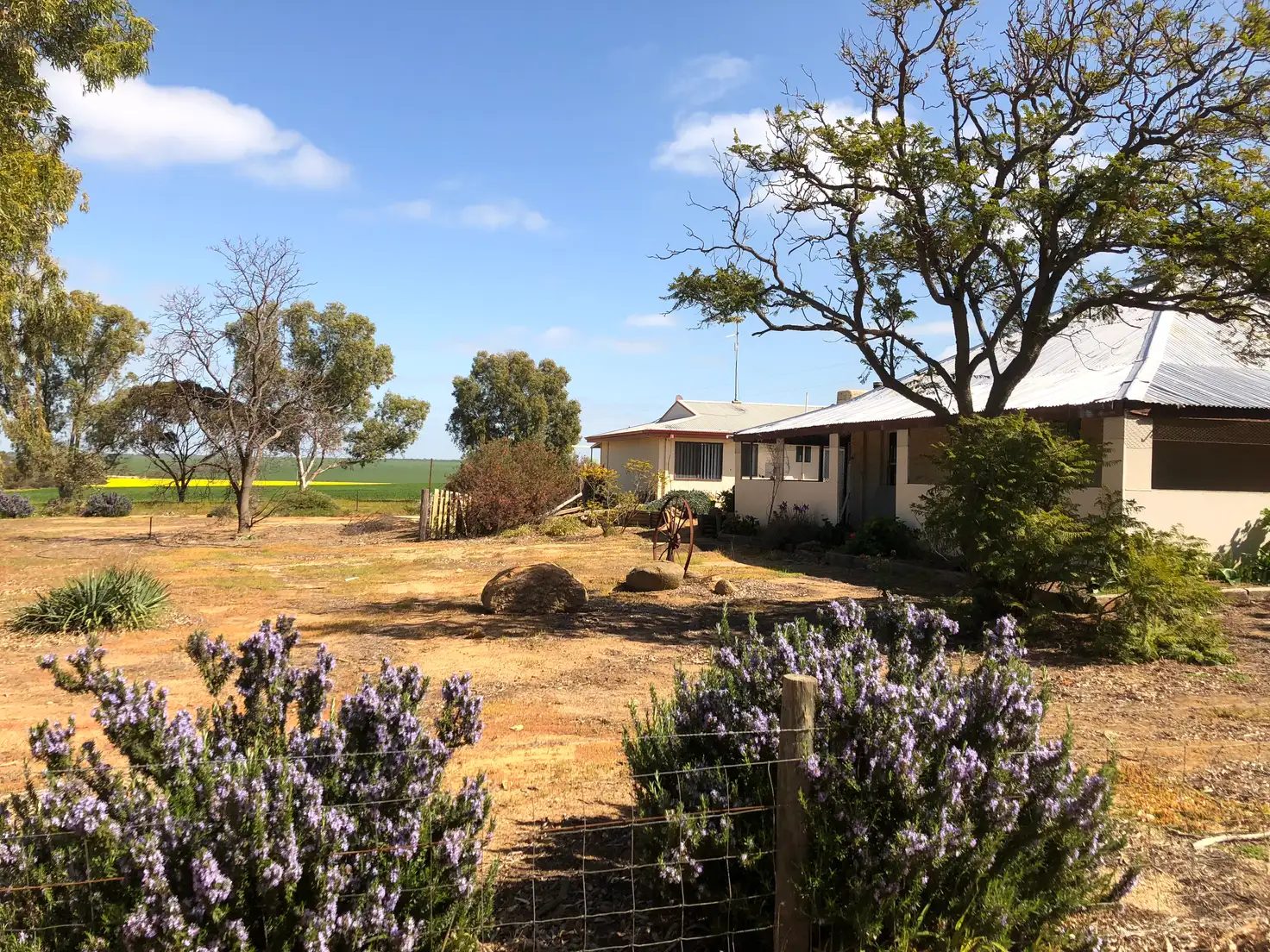 Main view of Homely rural property listing, 645 Goldfields Road, Wyalkatchem WA 6485